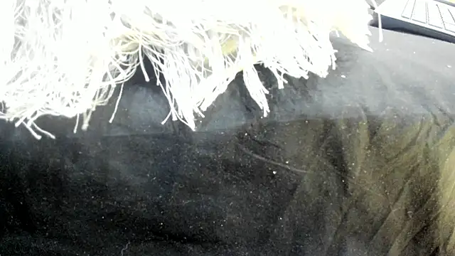 MiaEvans0's cam snapshot