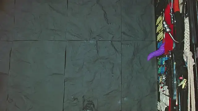 Hardcore_Room_Bdsm_'s cam snapshot