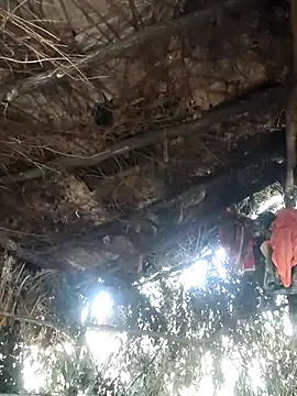 Ranjna_bhabi live sex cam