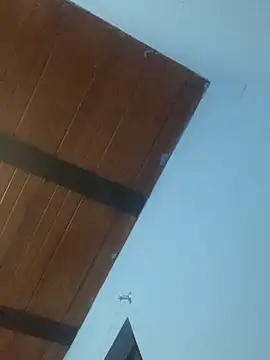 mondacuo3000 live sex cam