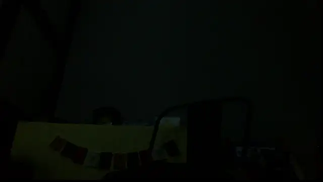 SexWorkerX live sex cam