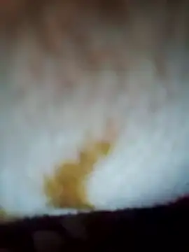 Alone_b0's cam snapshot