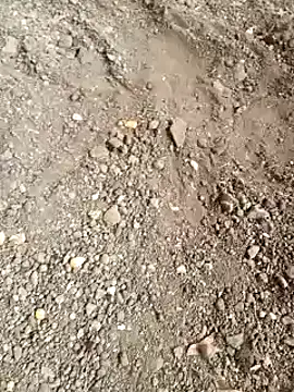 raju423204's cam snapshot