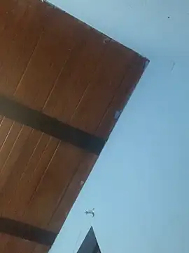 mondacuo3000's cam snapshot