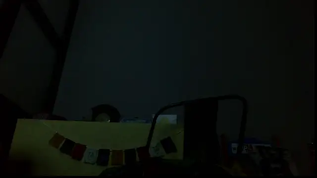 SexWorkerX live sex cam