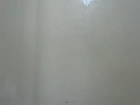 Rasta_tattooed live sex cam