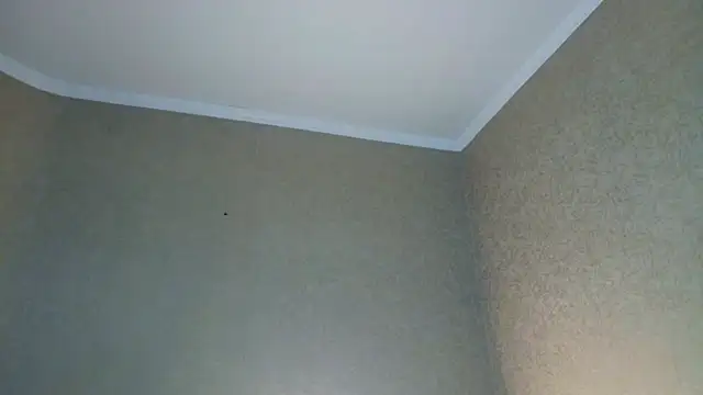 ShayneMilush's cam snapshot