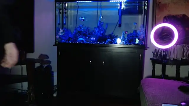 EspanolVato's cam snapshot