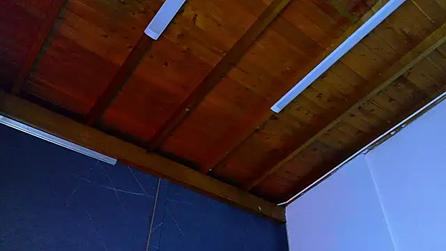 ALANNFERRER live sex cam