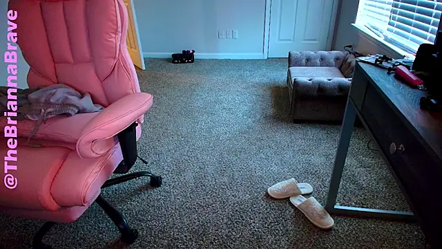 BriannaBrave's cam snapshot