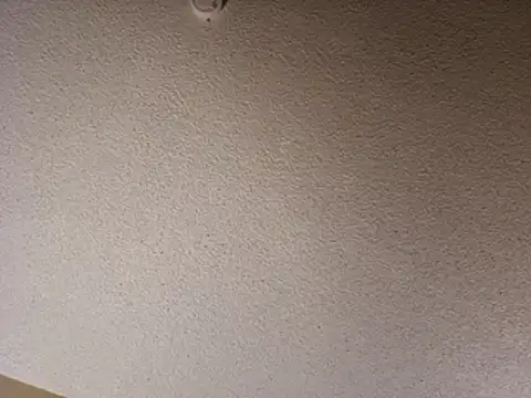 Roddog18 live sex cam