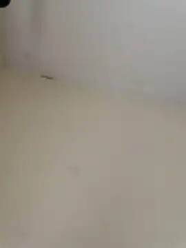 ezeksbrhuge live sex cam