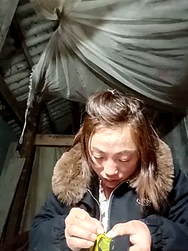 seacyre's cam snapshot