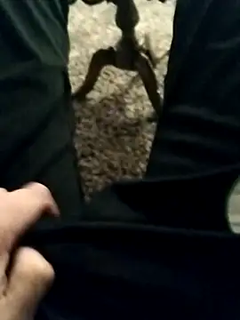 idhem___31 live sex cam