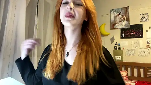 DynaLoom's cam snapshot