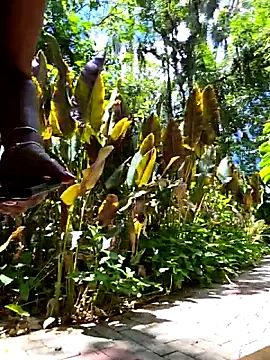 giselxxx_hot live sex cam