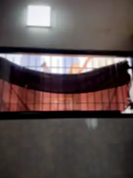 PrincesLeo live sex cam