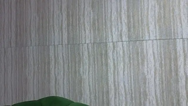 zarcasutra_t live sex cam