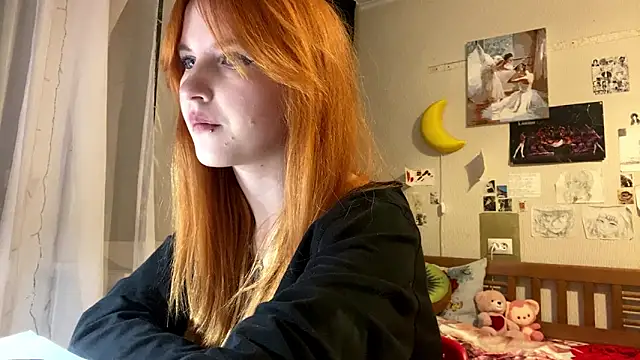 DynaLoom's cam snapshot