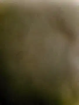 sevvvvsevvvv1 live sex cam