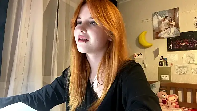 DynaLoom's cam snapshot