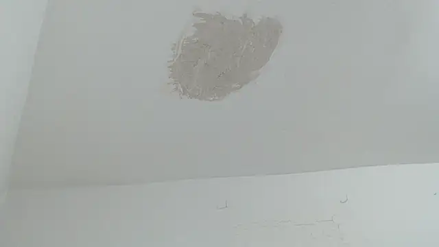 brant_garciabbc live sex cam