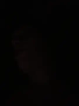 itsmeAlarann's cam snapshot