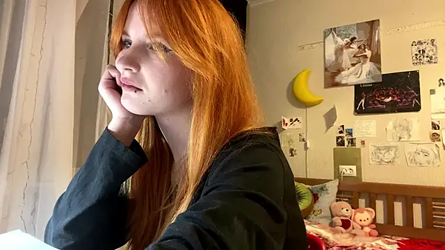 DynaLoom's cam snapshot