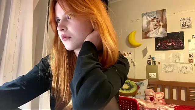 DynaLoom's cam snapshot