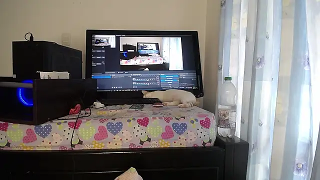 eolicasex live sex cam