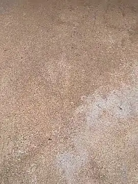 boysquirt live sex cam