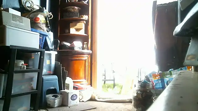 LostInEjaculation's cam snapshot