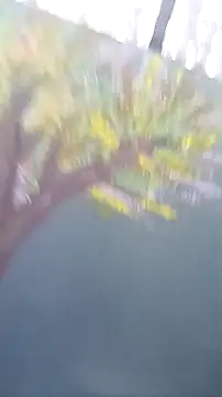 SexyB214's cam snapshot