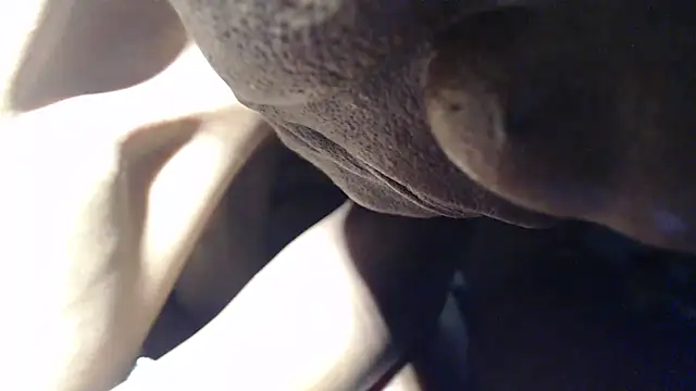 hotriders70e's cam snapshot