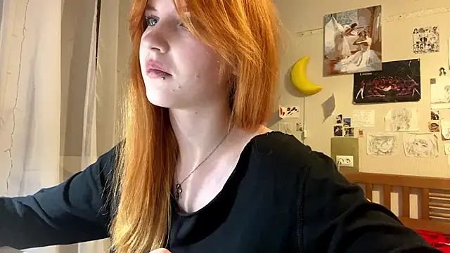 DynaLoom's cam snapshot