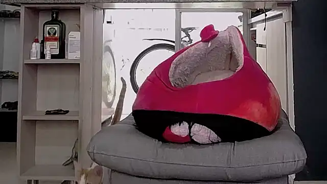 callme_douglas live sex cam