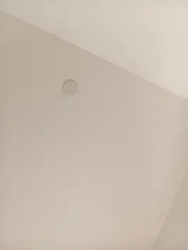 Dante_Knox live sex cam