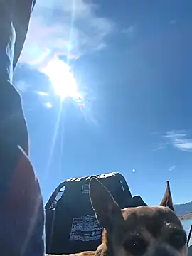 FloppyPickle4u live sex cam