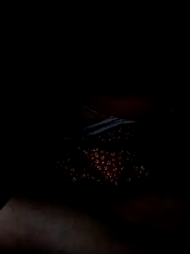 miyaababy's cam snapshot