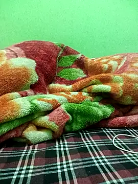 Paidnehu's cam snapshot