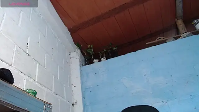 jasminne_ live sex cam