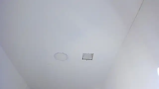 Zenith_glow live sex cam