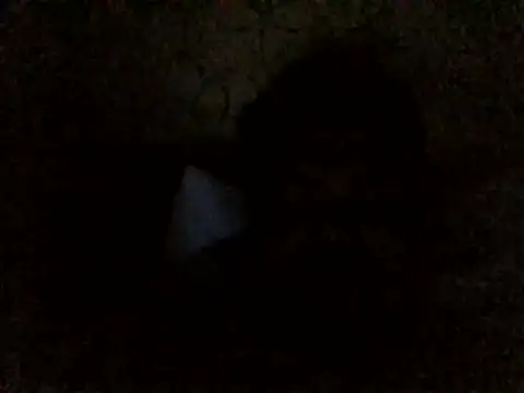 chang_0z's cam snapshot