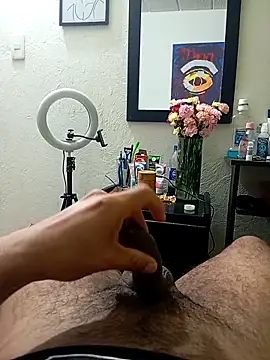 prototipoA45's cam snapshot