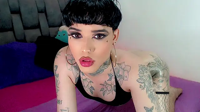 little_star_porn live sex cam