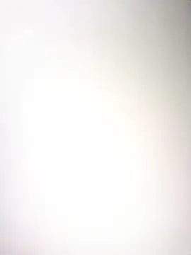 taaylor33's cam snapshot