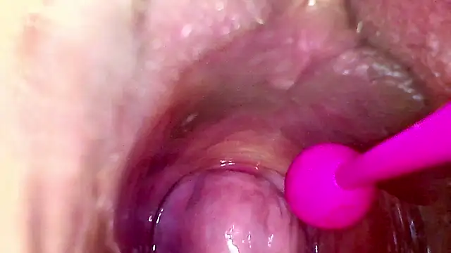 karol_kane live sex cam