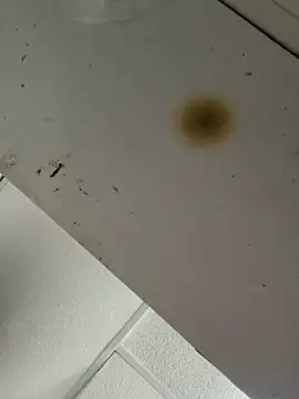 BrittanyDiaz's cam snapshot