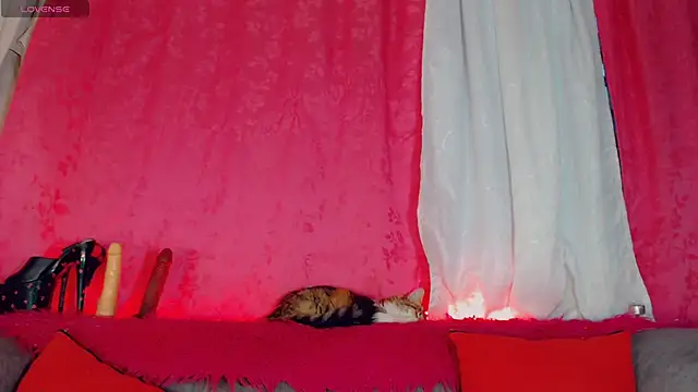 vicky_gill live sex cam