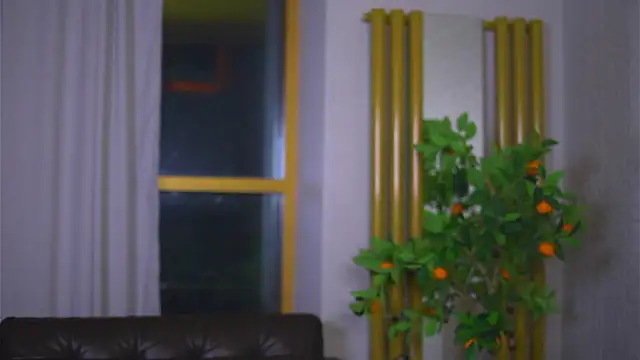 ShinKilmer's cam snapshot